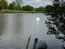 Photo 20 - Vue des cygnes sur le lac